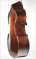 Golia upright bass side