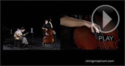 Warren Jones, Thompson Plywood Bass