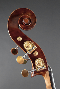 Enhance Your Performance: Essential Upright Bass Accessories - The Rolla  Daily News