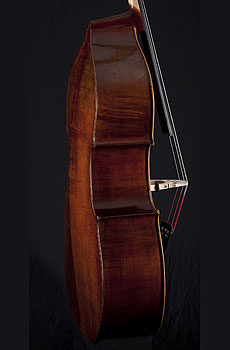 Thompson Hybrid Upright Bass, oil varnish