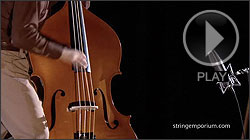 Joe Fick, Thompson Plywood Bass (blonde)
