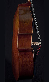 Thompson Plywood Upright Bass, oil varnish